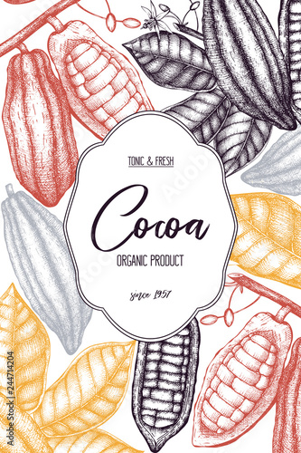 Vector Cocoa tree illustration. Vintage background with hand drawn with leaves, flowers, fruits and beans. Botanical pattern. Aromatic and tonic elements sketch.