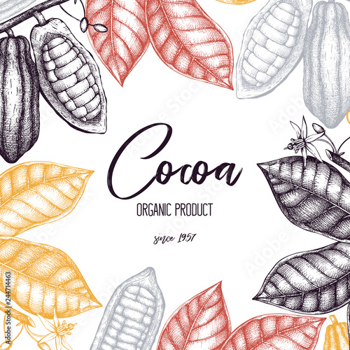 Vector Cocoa tree illustration. Vintage background with hand drawn with leaves, flowers, fruits and beans. Botanical pattern. Aromatic and tonic elements sketch.