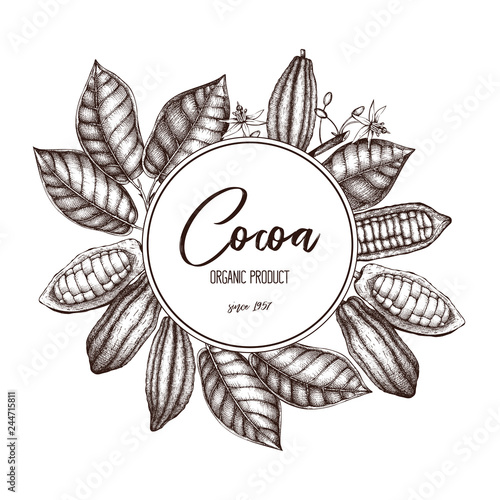 Vector Cocoa tree illustration. Vintage background with hand drawn with leaves  flowers  fruits and beans. Botanical template design. Aromatic and tonic elements frame.