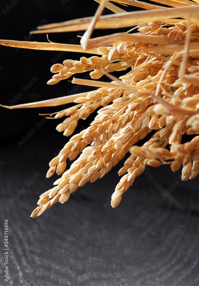 Golden rice on dark background