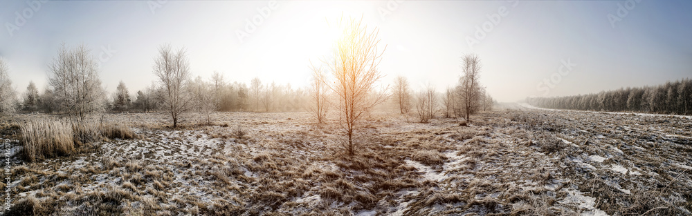 Winter landscape of snow and frost with free space for your decoration Winter landscape of snow and frost with free space for your decoration