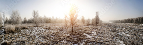 Winter landscape of snow and frost with free space for your decoration 