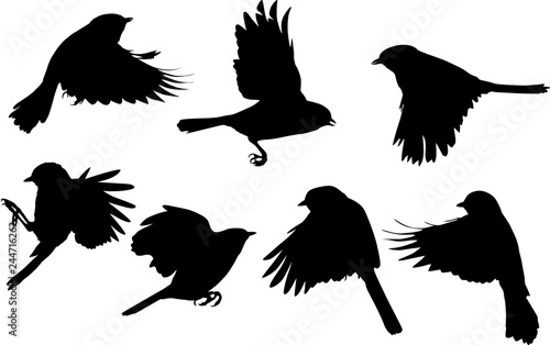 set of seven flying tits isolated on white