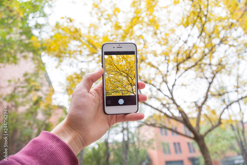 Man taking picture in autumn