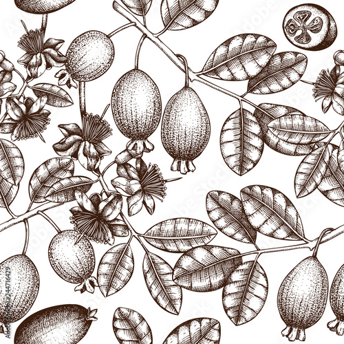 Vector background with hand drawn feijoa illustration. Engraved botanical sketch of myrtle plants, flowers, fruits, leaves. Vintage tropical fruit design. Pineapple guava seamless pattern. 