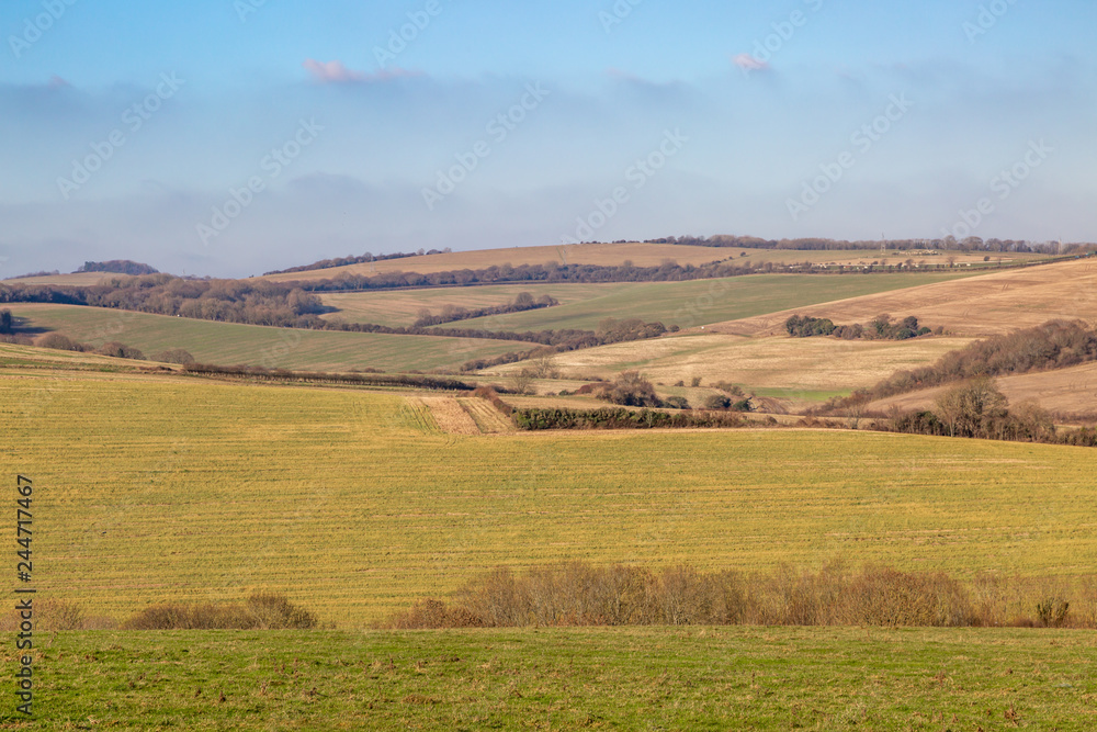 Looking out over fields in winter, in the South Downs