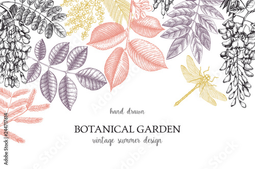 Vector design with hand drawn branch, leaves, seeds, cones, fruits sketch. Vintage frame with botanical elements. Retro template with Garden trees and dragonfly illustrations