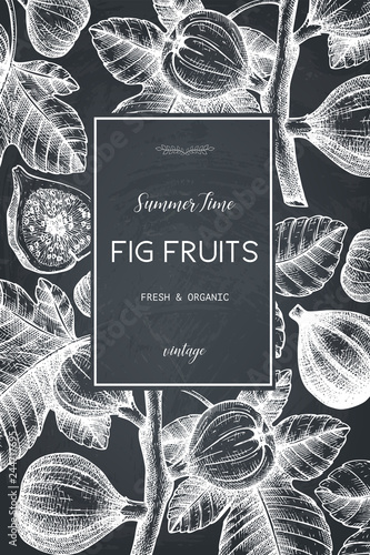 Vector design with hand drawn figs sketch. Vinatge frame with botanical illustration of fig fruit branch. Retro template with summer elements.
