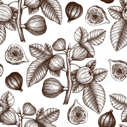 Seamless pattern with hand drawn figs sketch. Vector background with engraved fig fruit branch. Vintage illustration with botanical elements. Summer design.