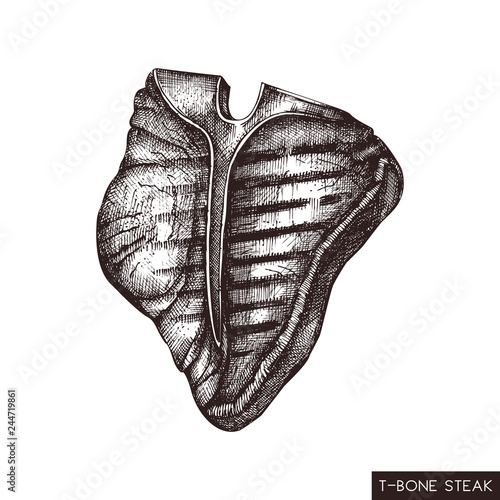 T-bone steak hand drawn illustration. Vector grilled beef drawing on white background. Fresh meat product sketch for restaurant menu design.