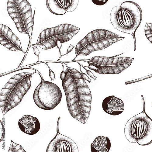 Vector background with tonic and spicy plants. Hand drawn seamless pattern with spices illustrations. Vintage aromatic elements. Sketched flowers, leaves, seeds, fruits, nuts, beans.