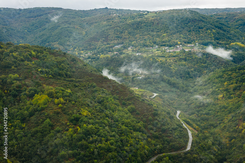 View of asphalt road, forest and vineyards along river Sil.