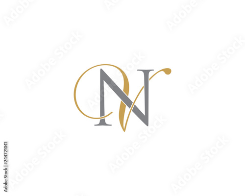 NV VN Letter Logo Icon 002