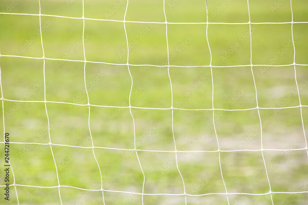 Net of the football field soccer green grass goal. Net of the football field soccer green grass goal.