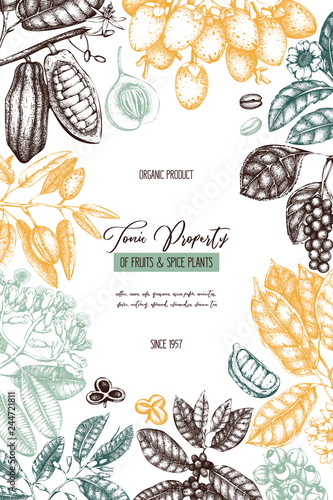 Vector design template with tonic and spicy plants. Hand drawn spices illustrations. Vintage frame with aromatic elements. Perfumery and cosmetics ingredients on chalkboard