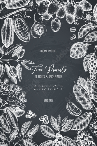 Vector design template with tonic and spicy plants. Hand drawn spices illustrations. Vintage frame with aromatic elements. Perfumery and cosmetics ingredients on chalkboard