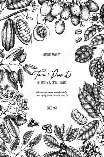 Vector design template with tonic and spicy plants. Hand drawn spices illustrations. Vintage frame with aromatic elements. Perfumery and cosmetics ingredients on chalkboard