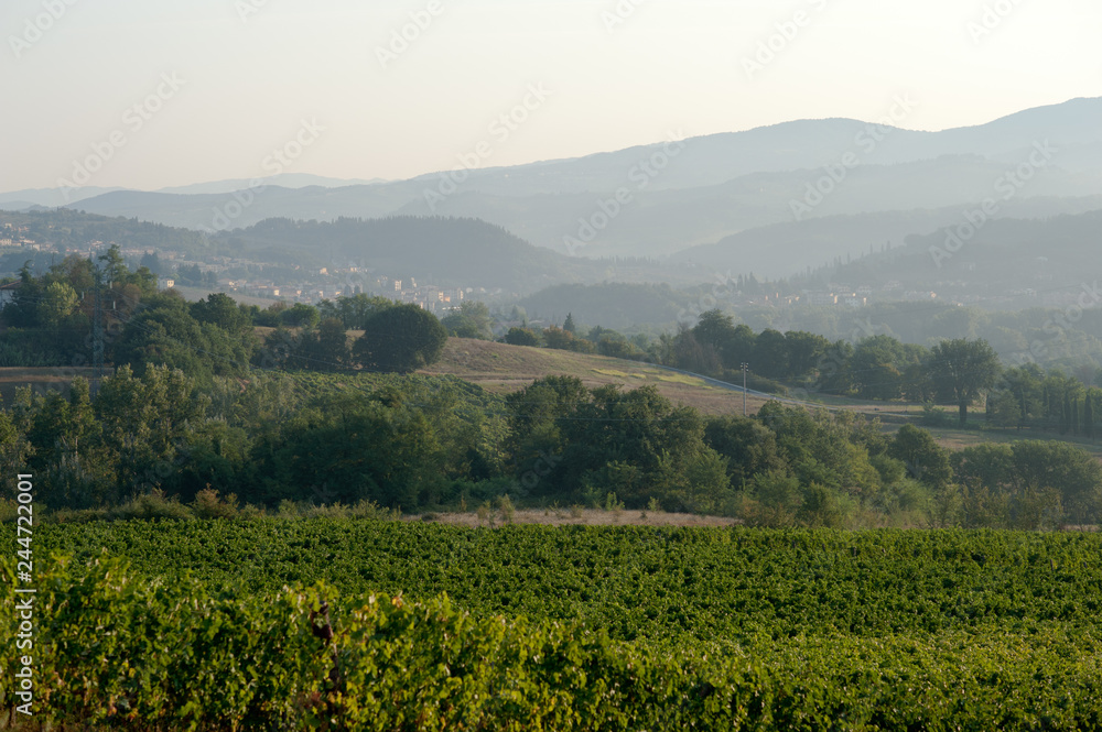 Tuscany Chianti Landscape