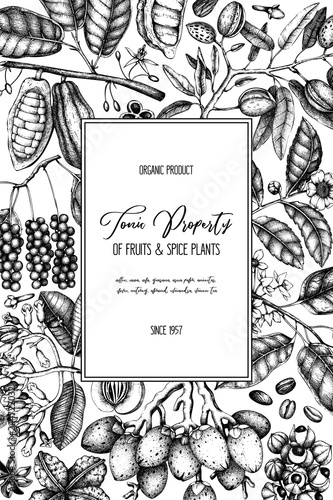 Vector design template with tonic and spicy plants. Hand drawn spices illustrations. Vintage frame with aromatic elements. Perfumery and cosmetics ingredients on chalkboard