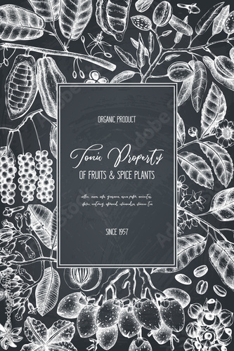 Vector design template with tonic and spicy plants. Hand drawn spices illustrations. Vintage frame with aromatic elements. Perfumery and cosmetics ingredients on chalkboard