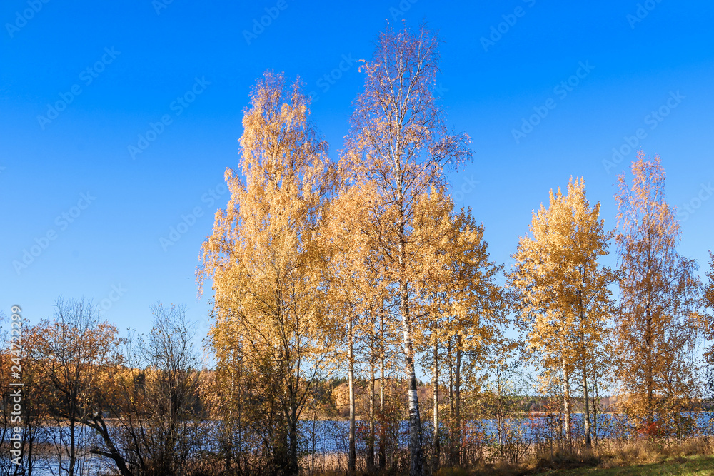 The shore of the lake Smardie. The reflection in the water The shore of the lake Smardie. The reflection in the water