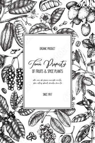 Vector design template with tonic and spicy plants. Hand drawn spices illustrations. Vintage frame with aromatic elements. Perfumery and cosmetics ingredients on chalkboard