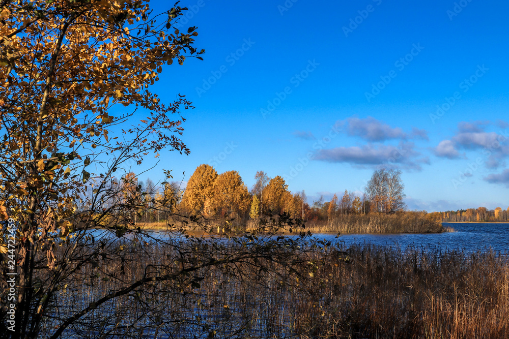 The shore of the lake Smardie. The reflection in the water The shore of the lake Smardie. The reflection in the water