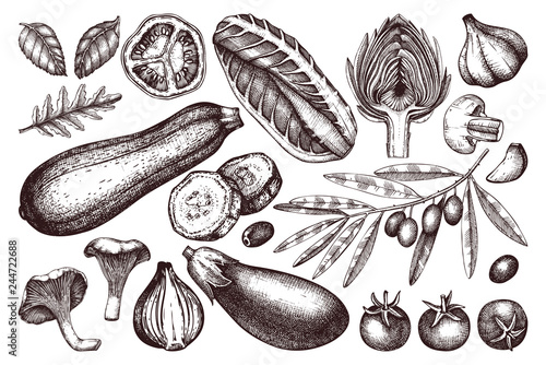 Vector collection of hand sketched vegetables. Vintage veggies and spices illustrations set. Healthy food drawings for vegetarian or organic menu design. Farm fresh products in engraved style