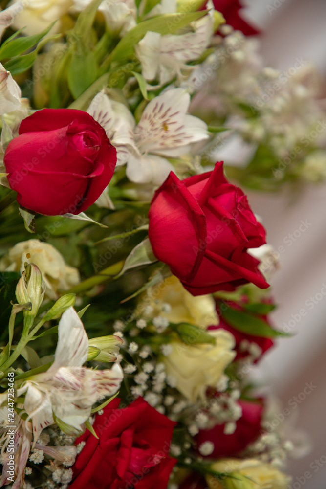 Fototapeta premium rosas vermelhas