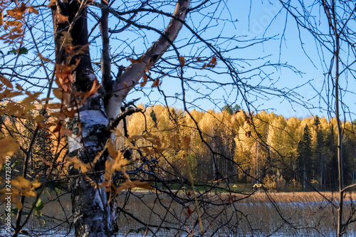  The shore of the lake Smardie. The reflection in the water photo