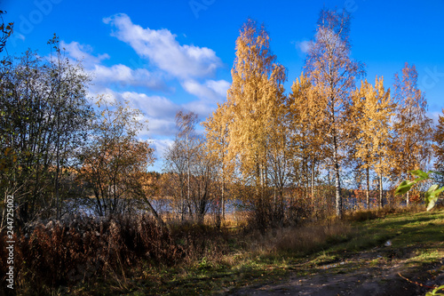  The shore of the lake Smardie. The reflection in the water © Александра Распопина