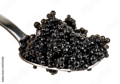 delicacy black caviar on white photo