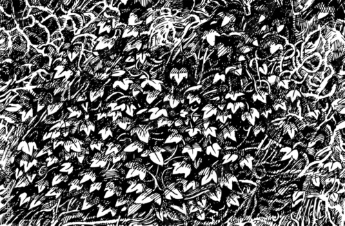 ivy on a wall. drawing ink. abstract background