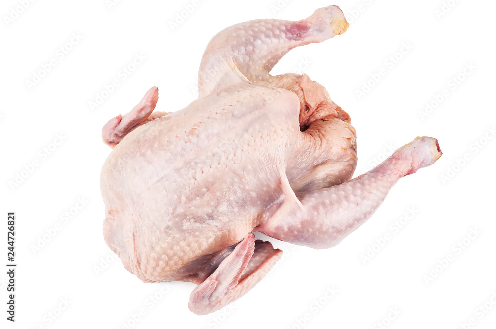 raw chicken corp on white raw chicken corp on white