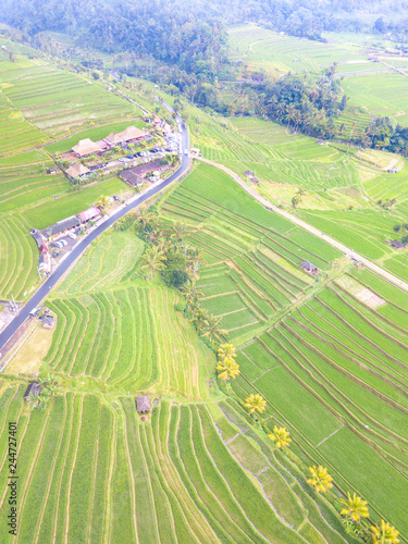 Paddy hill with aerial view at Jatiluweh, Bali, Indonesia.