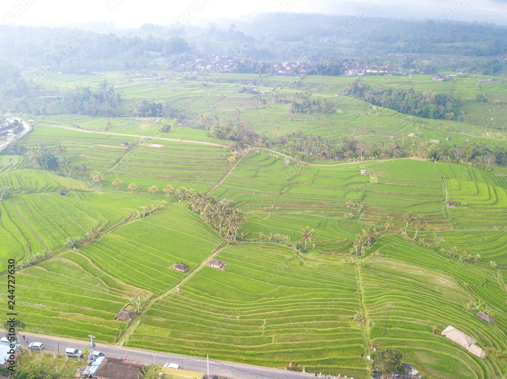Paddy hill with aerial view at Jatiluweh, Bali, Indonesia. Paddy hill with aerial view at Jatiluweh, Bali, Indonesia.