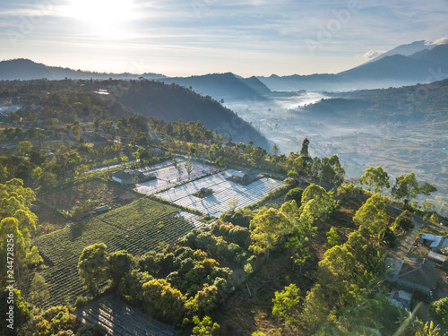 Wallpaper Mural Farmland with morning sunlight at Agong Mount, Bali, Indonesia. Torontodigital.ca