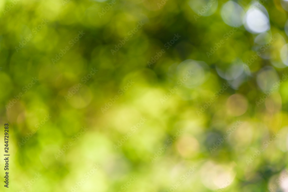 Obraz premium Nature blurred bokeh background. Defocus summer day vintage toned