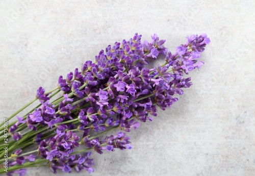 Fototapeta Naklejka Na Ścianę i Meble -  Lavender.