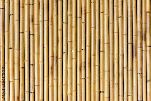 bamboo wall background Fototapeta