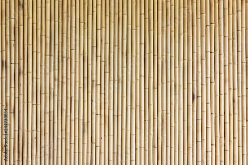 Obraz tło ściana bambusa