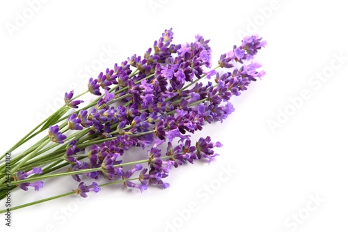 Fototapeta Naklejka Na Ścianę i Meble -  Lavender.