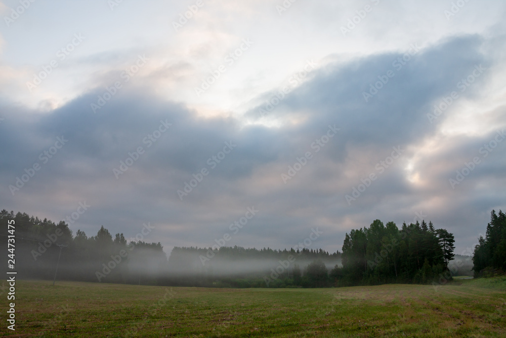 Grassland field landscape at foggy morning