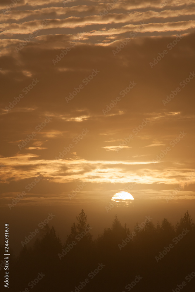 Early foggy morning sunrise above forest landscape Early foggy morning sunrise above forest landscape