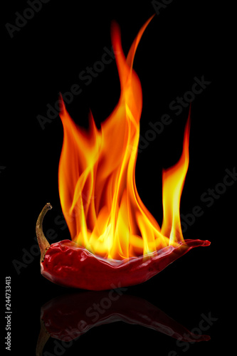 Hot red pimienta roja chilli pepper with fire flame isolated on black background