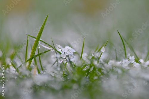 Melting ice on grass © Alexander