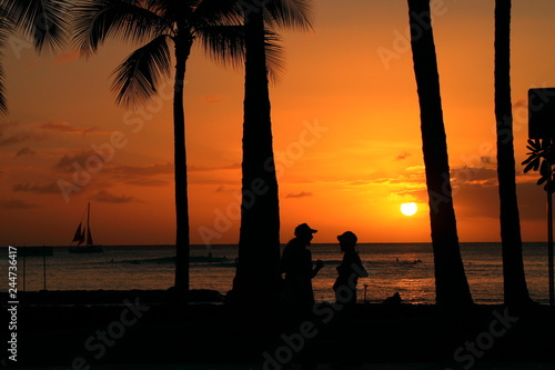                                        2                              Waikiki Sunset