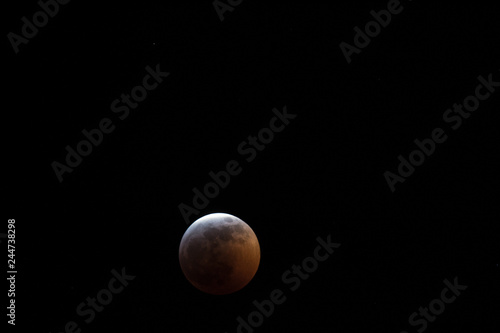 Blood Moon During a Total Lunar Eclipse
