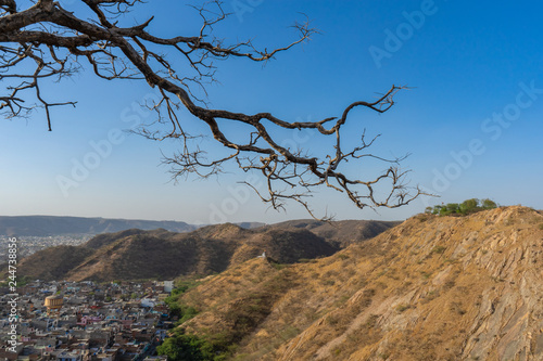 Dry branches of stand alone tree without any leafs on blue sky. from the sun temple view point near Galtaji Temple or the Monkey Palace in senset moment. feeling sadness, Jaipur, Rajasthan, India