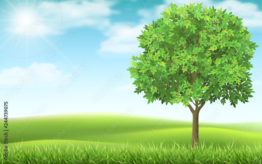 Tree on country spring landscape background. Green meadow and blue sky.  Natural landscape with a calm beautiful scene. Stock Vector | Adobe Stock